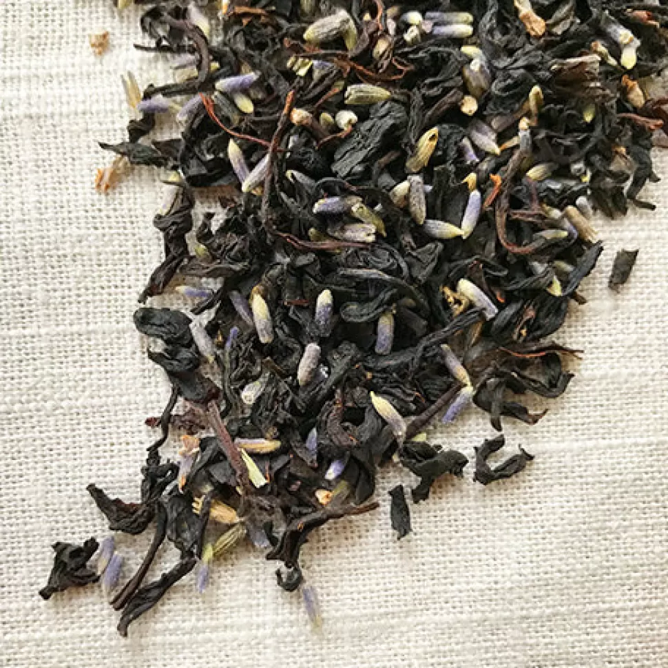 Stash Tea Breakfast In Paris Black Tea Hot