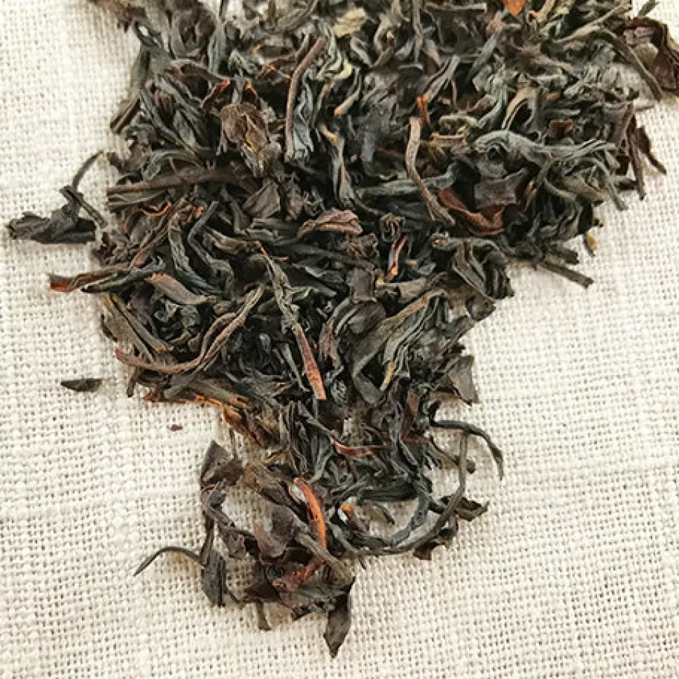 Stash Tea Caravan Black Tea Sale