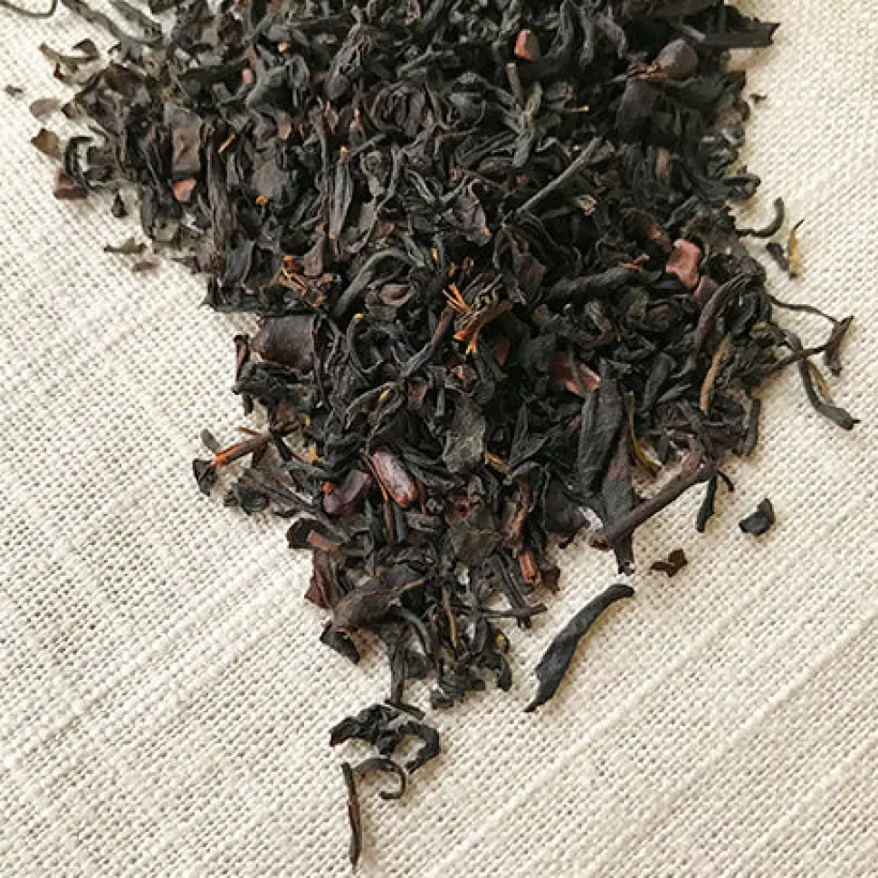 Stash Tea Chocolate Hazelnut Black Tea Best Sale