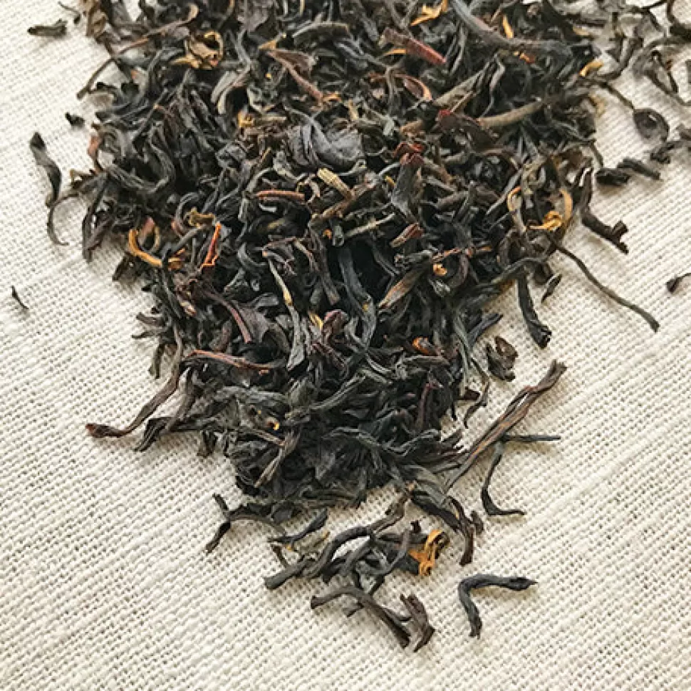 Stash Tea Earl Grey Black Tea Outlet