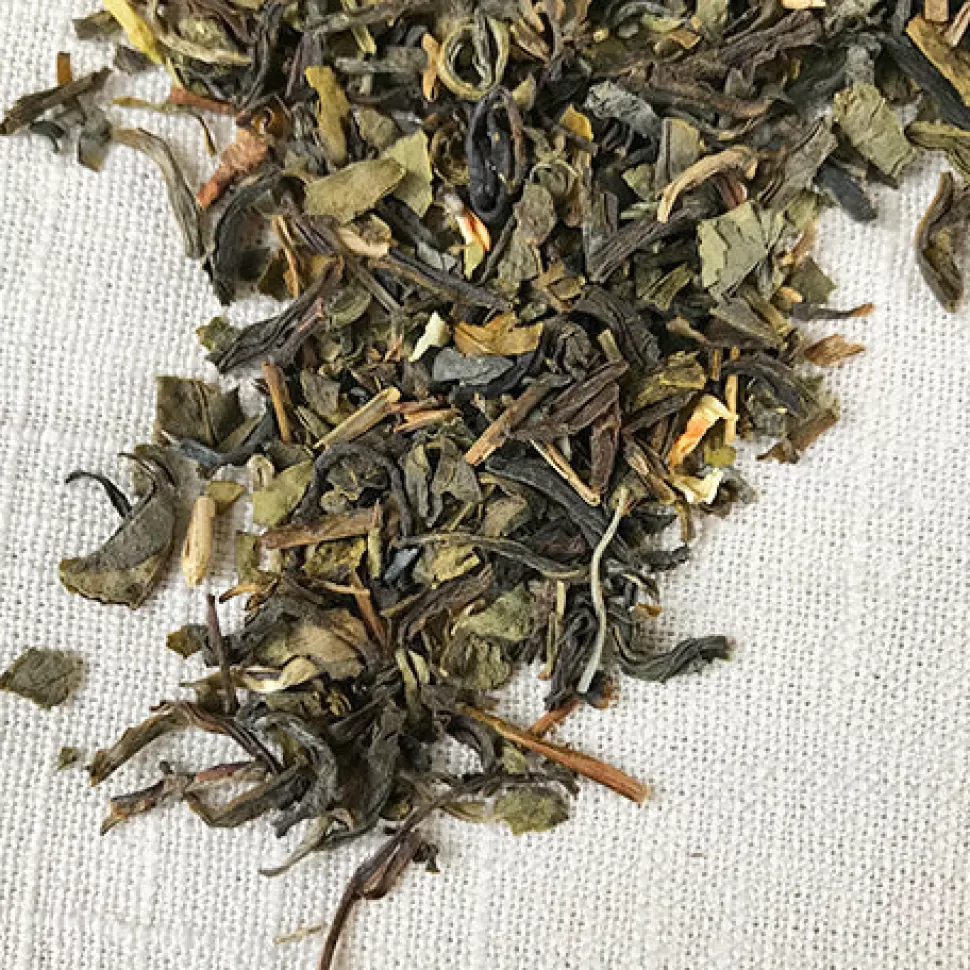 Stash Tea Jasmine Blossom Green Tea Fashion