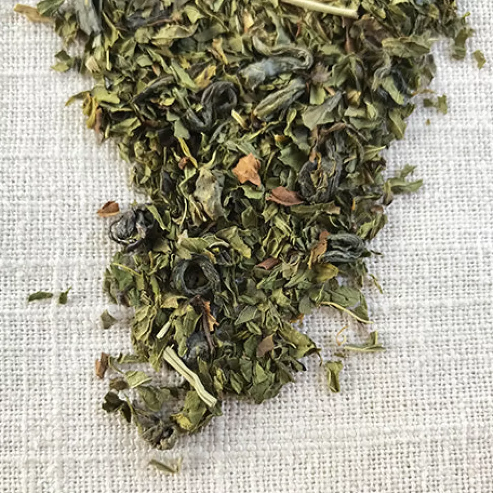 Stash Tea Moroccan Mint Green Tea New