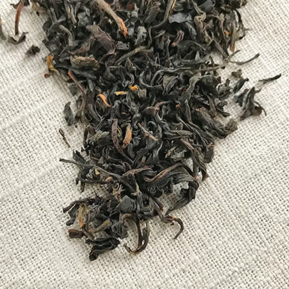 Stash Tea Organic Assam Black Tea Best