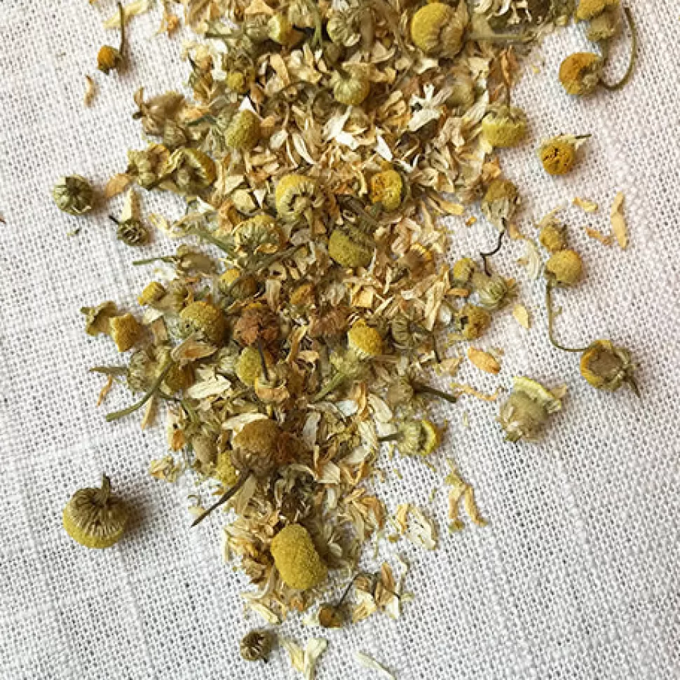 Stash Tea Organic Chamomile Herbal Tea Cheap