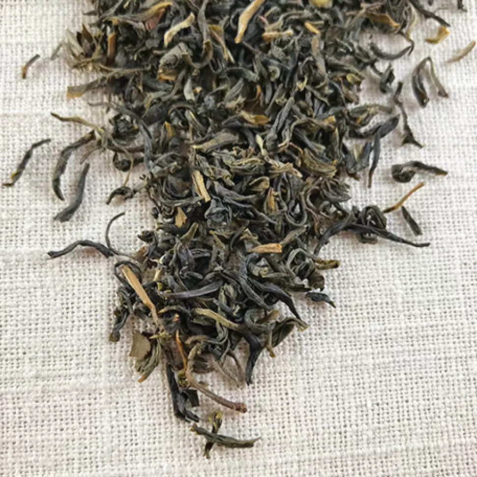 Stash Tea Organic Jasmine Green Tea Best Sale