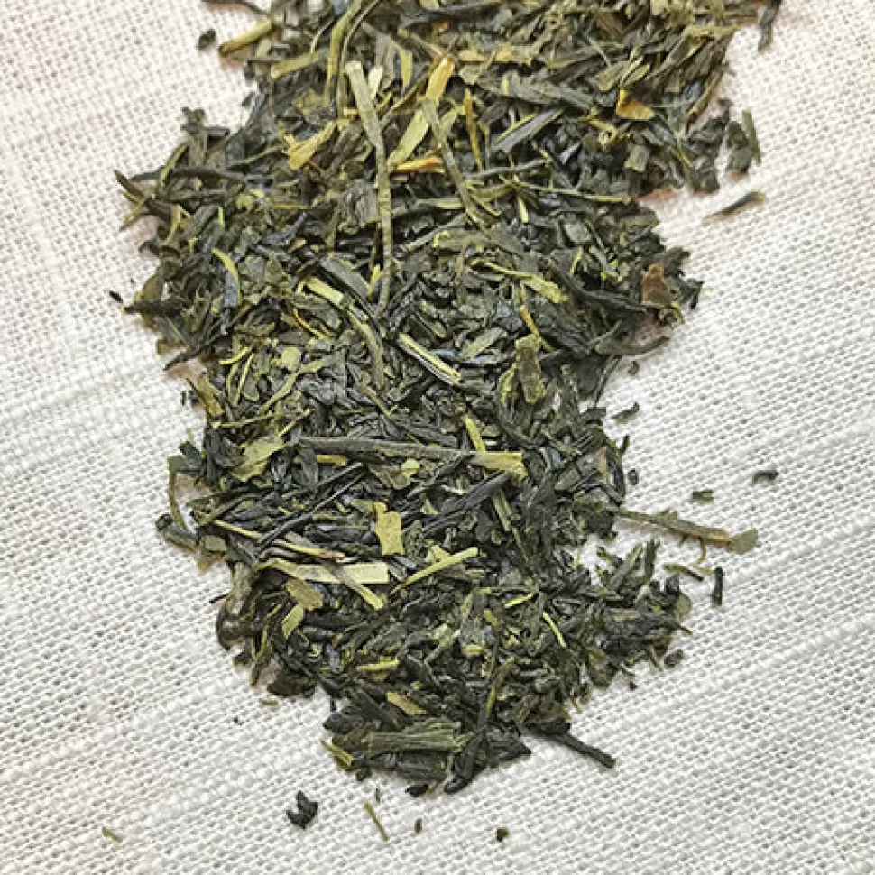 Stash Tea Premium Green Tea Discount