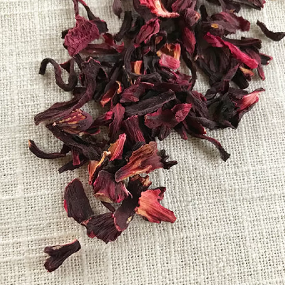 Stash Tea Ruby Hibiscus Herbal Tea New